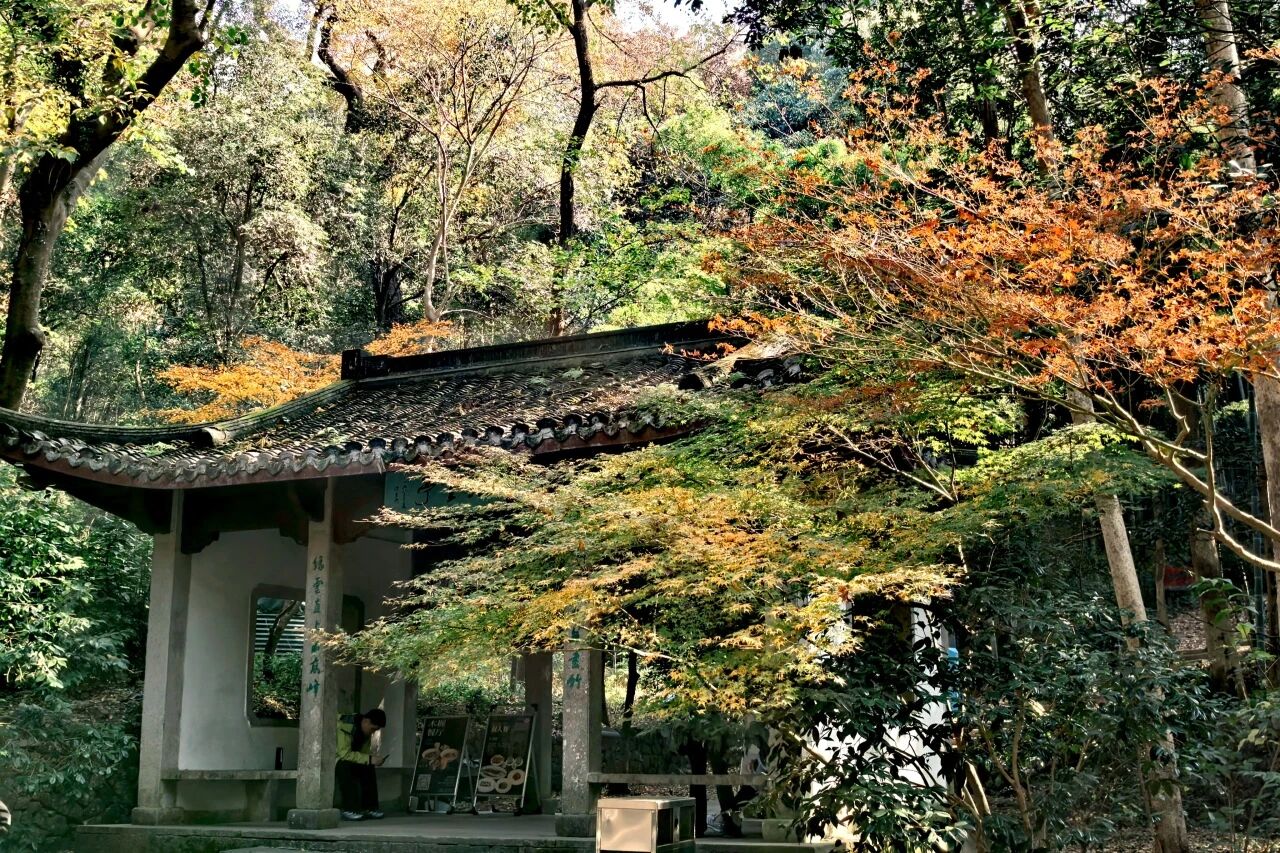 1765422114748682.jpg b18839ed601aadfc010bc4c590635029.jpg