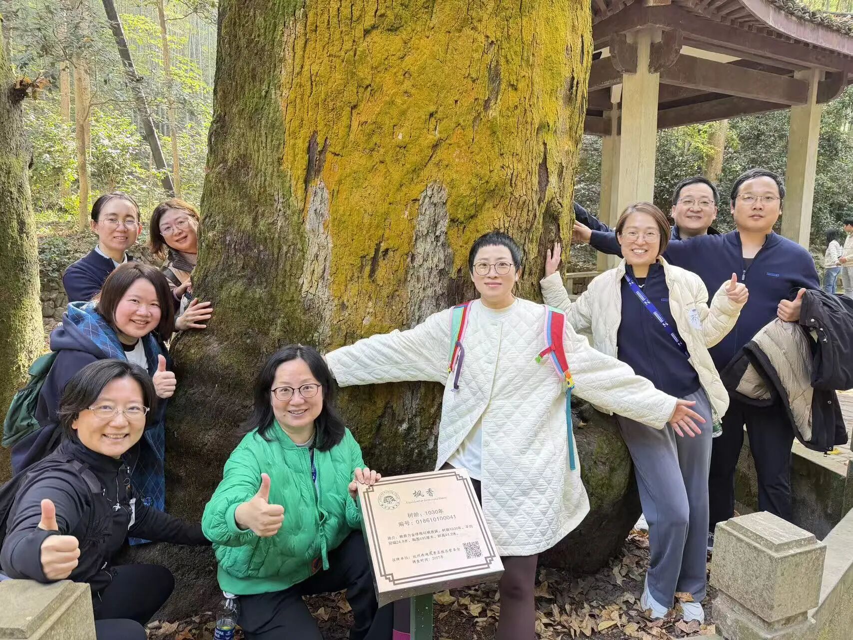 1765422236749764.jpg 50ad25d0d37ea1b83229f3cc966fddcf.jpg