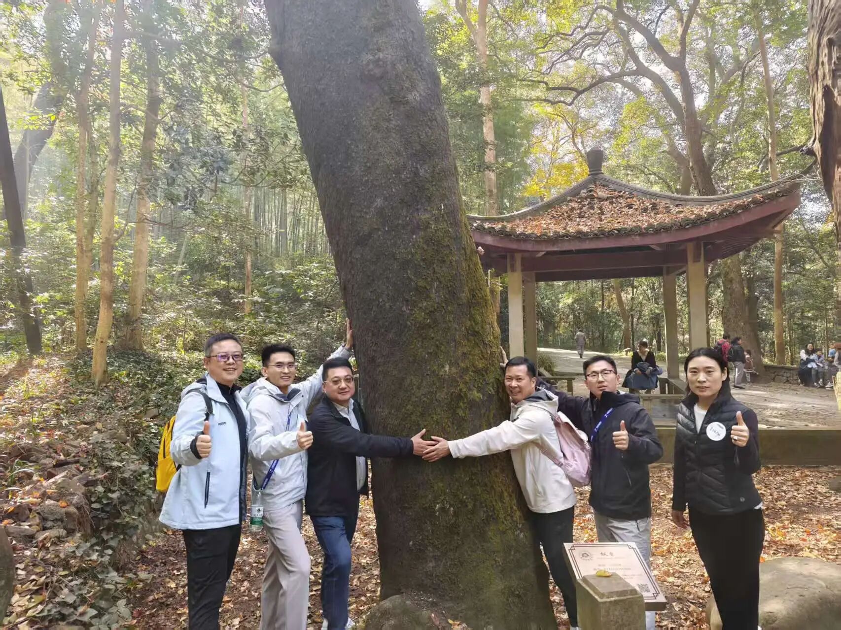 1765422243206947.jpg 5e8d44449fbbcd0637d0396cb505c16a.jpg