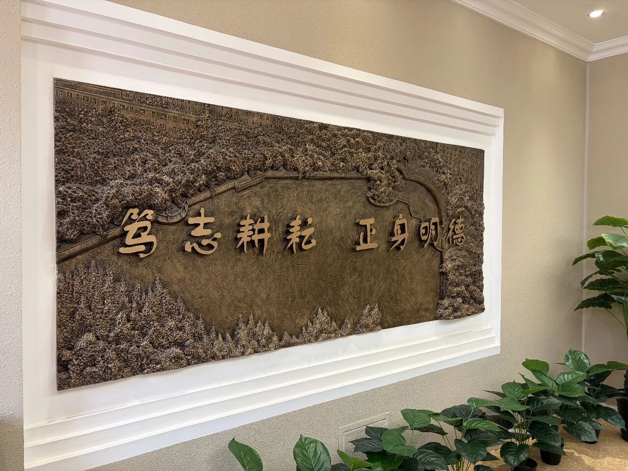 1766543307573007.jpg 338980deca51cfb1ea38c9f0fb1bc649.jpg